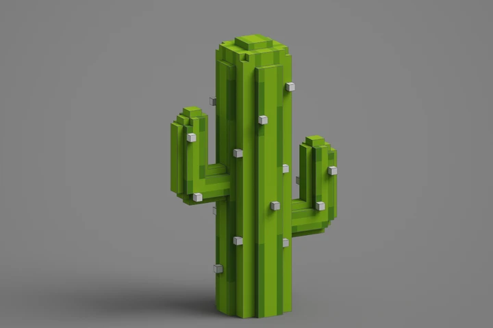 Cactus cover image.