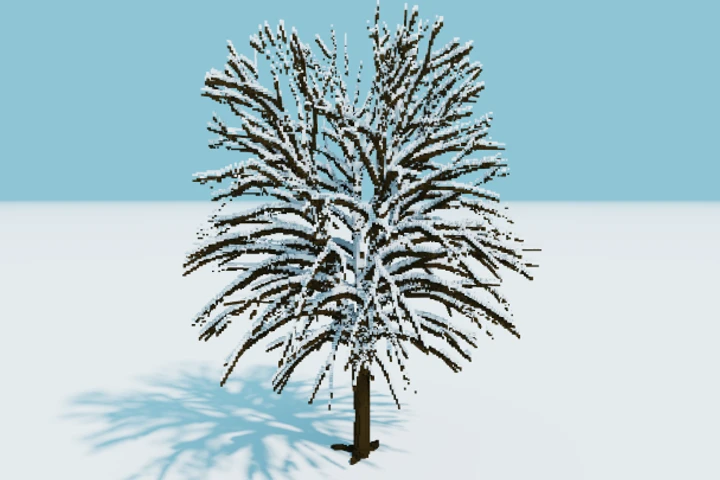 Winter Tree cover image.